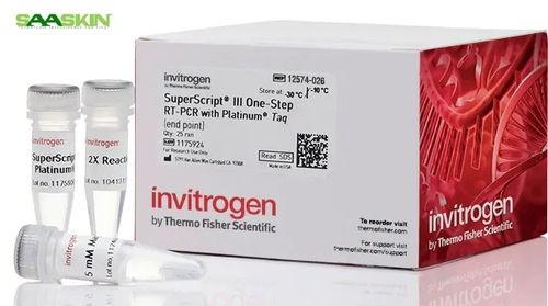 Thermo Fisher Scientific Invitrogen SuperScript III One-Step RT-PCR System with Platinum Taq DNA Polymerase