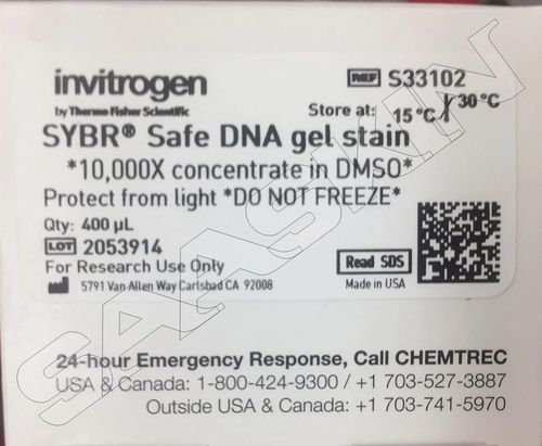 Thermo Fisher Scientific Invitrogen SYBR Safe DNA Gel Stain