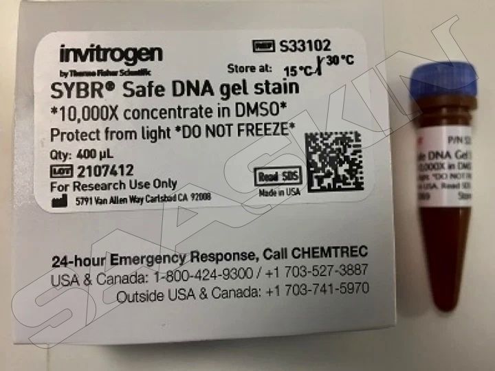 Thermo Fisher Scientific Invitrogen SYBR Safe DNA Gel Stain