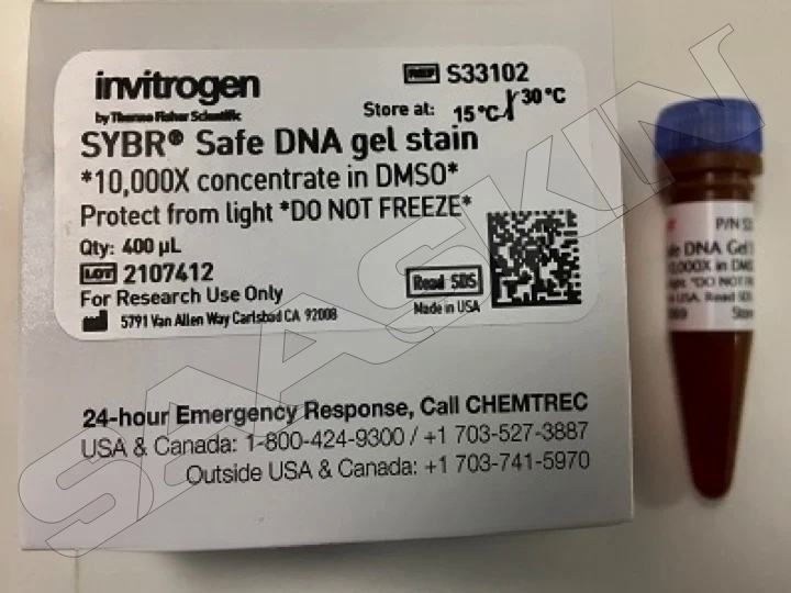 Thermo Fisher Scientific Invitrogen Sybr Safe Dna Gel Stain