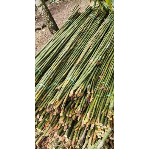 20 Feet Murli Bamboo Stick - Bamboo Material, 20 Feet Long, Various Colors Available | Polished Finish, Customizable, Modern Decorative Use