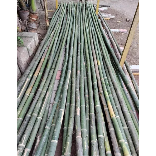 16 Feet Murli Bamboo - High-Quality Bamboo, 16 Feet Long, Available in Multiple Colors, Polished Surface Finish, Modern Decorative Design