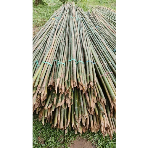 15 Feet Murli Bamboo