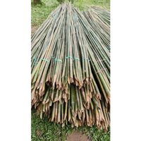 15 Feet Murli Bamboo - Color: Different Available