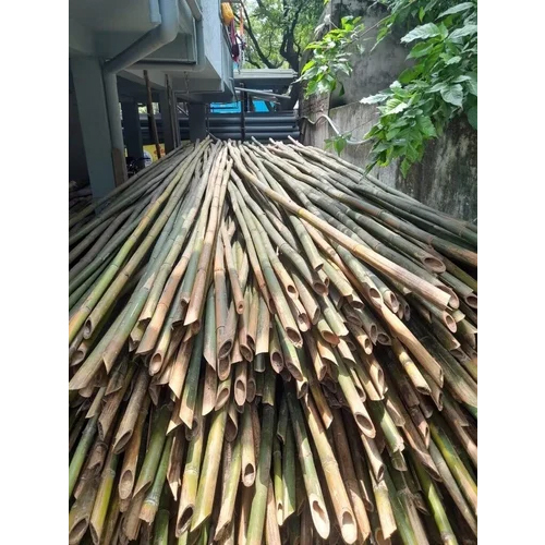 24 Feet Super Bamboo