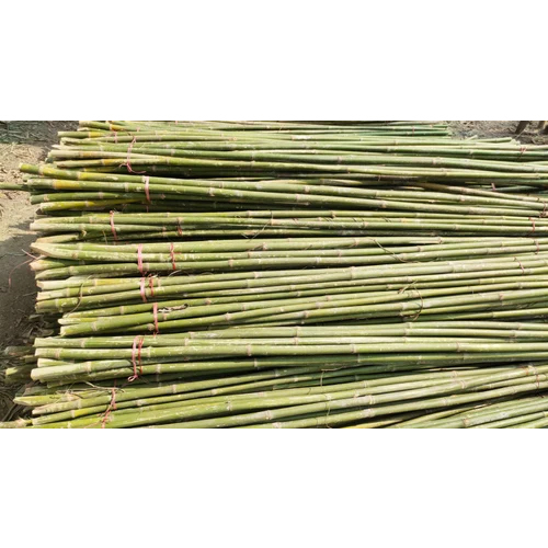 8 Feet Murli Jar Bamboo