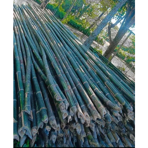 20 Feet Super Bamboo Pole