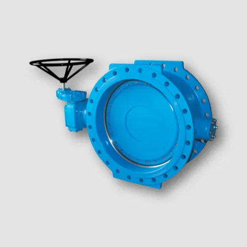 SS Butterfly Valve