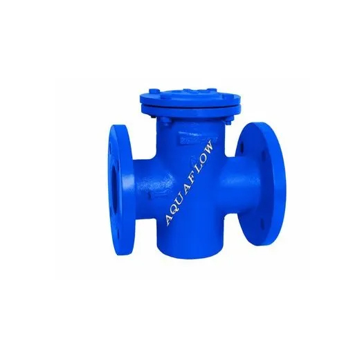 Cast Iron T Type Flanged Strainer
