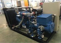 Liquified Petroleum Generator - Color: Blue