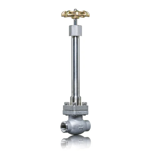 Cryogenic Globe Valve