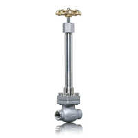 Cryogenic Globe Valve - Color: Silver