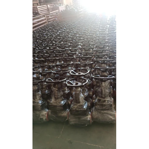 Forged Globe Valve