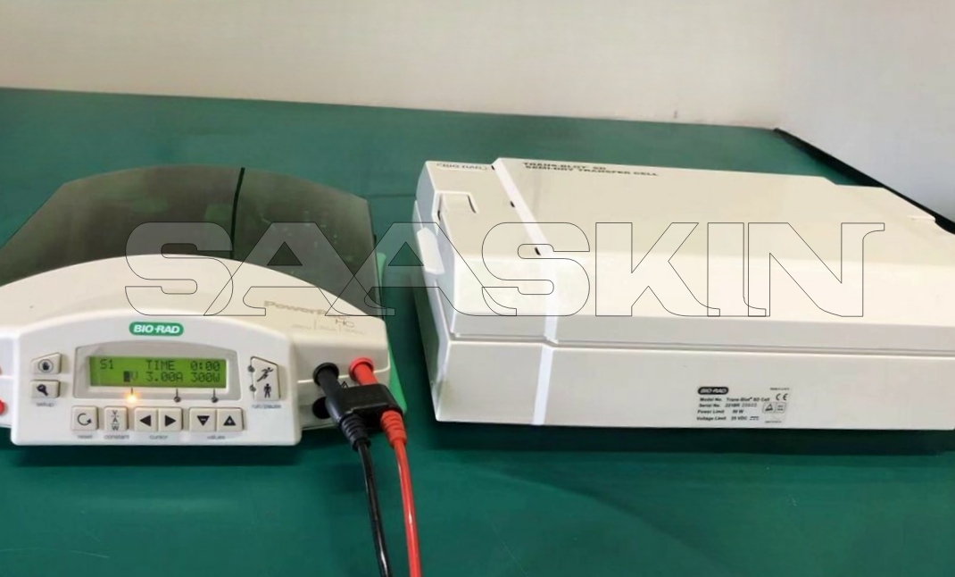Biorad Trans-blot Sd System And Powerpac Hc Power Supply System