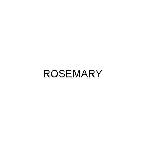 CAS NO - 8000-25-7 ROSEMARY
