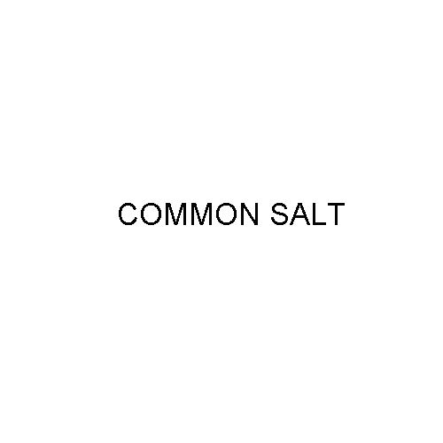 Cas No - 7647-14-5 Common Salt - Application: Textile Industries