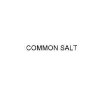 CAS NO - 7647-14-5 COMMON SALT