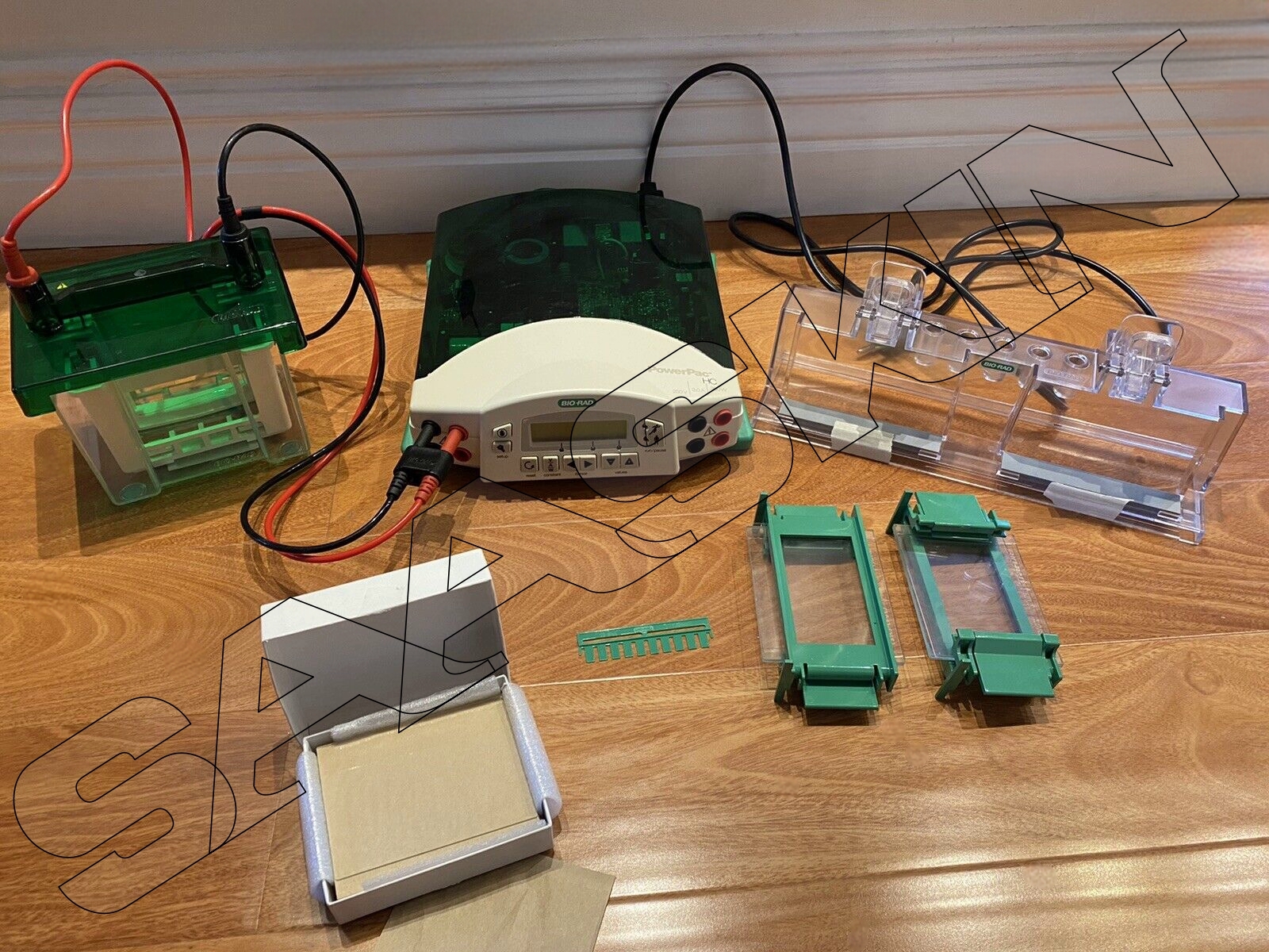 Biorad Mini-protean Tetra Cell, Mini Trans-blot Module, And Powerpac Basic Power Supply
