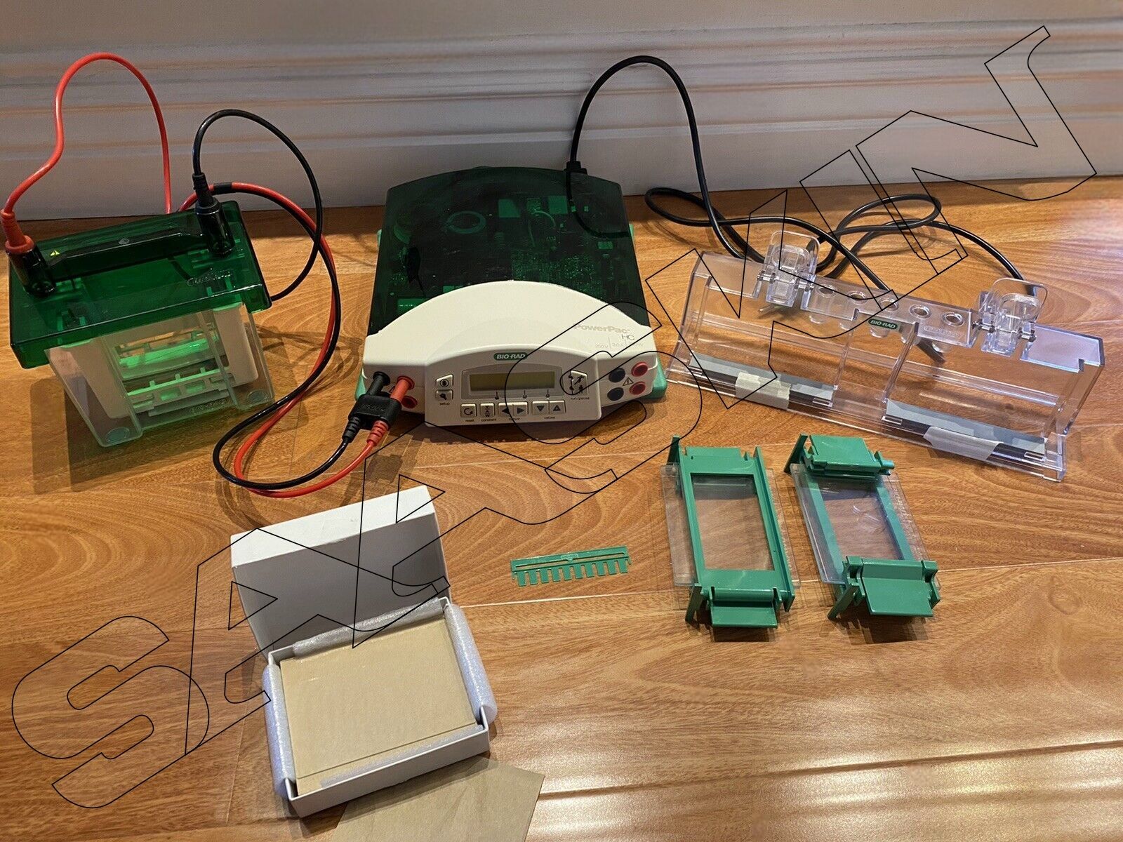 BioRad Mini-PROTEAN Tetra Cell, Mini Trans-Blot Module, and PowerPac Basic Power Supply