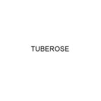 CAS NO - 8024-05-03 TUBEROSE