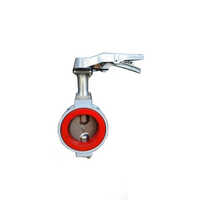 Silicone Sleeve Lever Operated Butterfly Valve