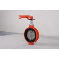 Lined Butterfly Valve
