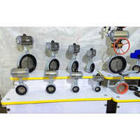 Double Acting Pneumatic Actuator Valve