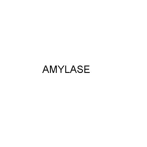 Cas No - 9000-90-2 Amylase - Purity: High