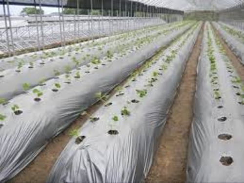 MULCH PAPER SHEET