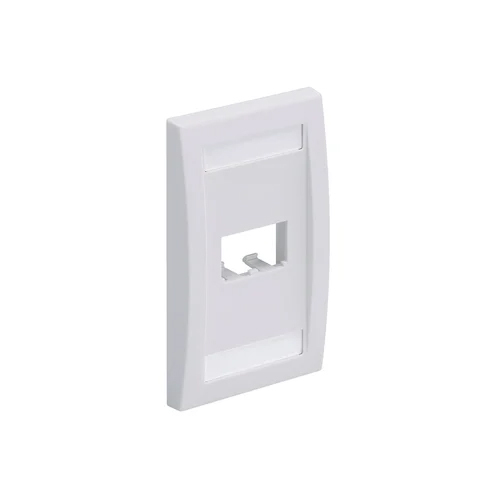 Faceplate Dual Port Panduit