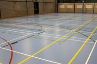 High Elastic Wear Resistance Sports Floor for Gymnasium
