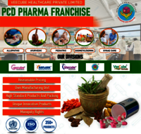 Pharma Franchise - Comprehensive Partnership Program For Pharmaceutical Supply Chain, Flexible Distribution Solutions