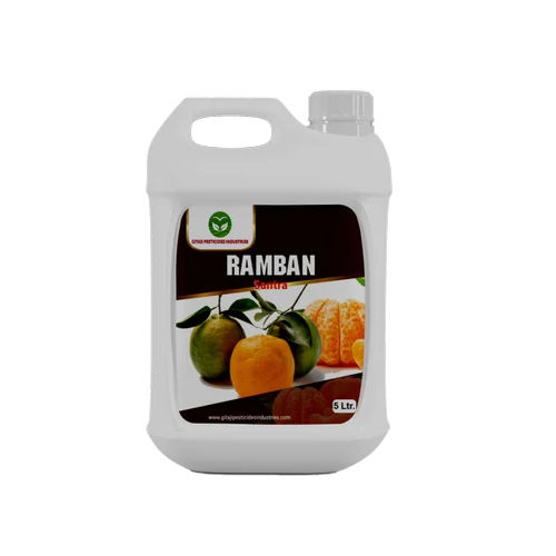 Ramban For Santra-Mosambi Special