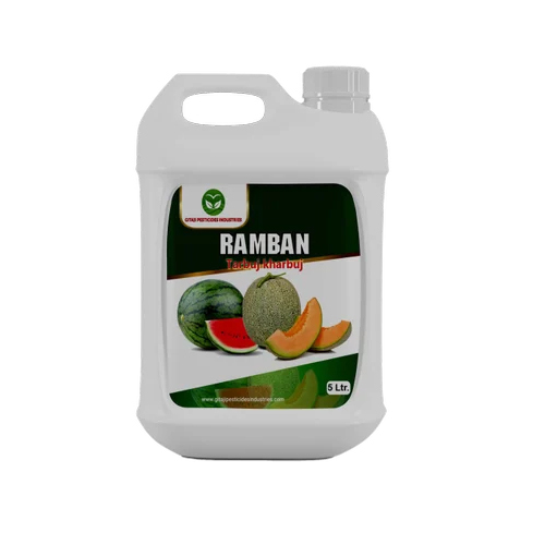 Ramban For Tarbuj- Khrabuj Special