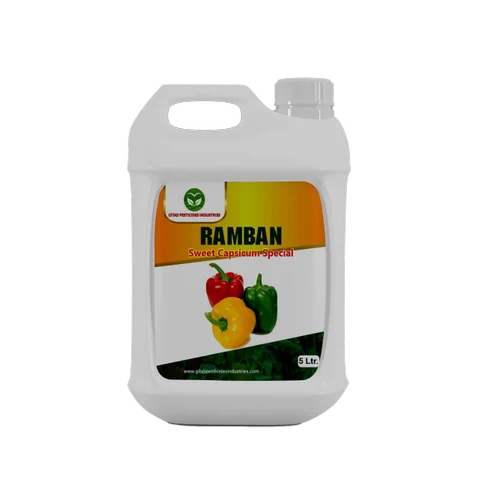 Ramban For Sweet Capsicum Special