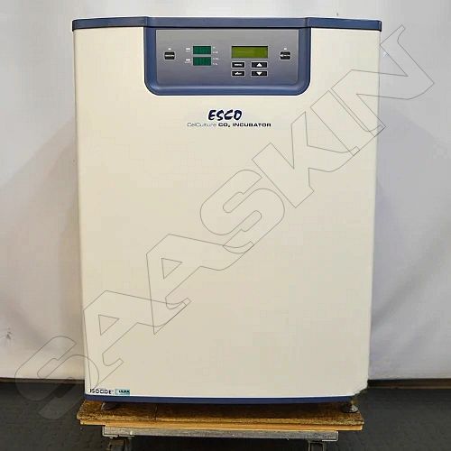 ESCO CelCulture CO2 Incubator 170L