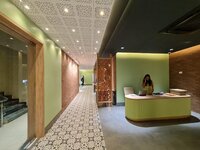 Decorative Bricks