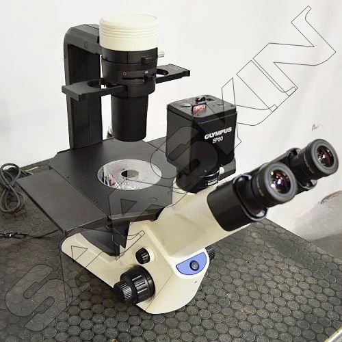 Olympus CKX53 Cell Culture Microscope