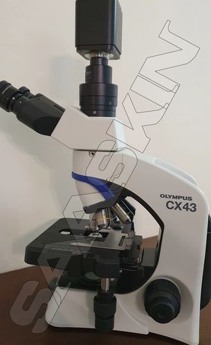 Olympus CX43 Biological Microscope