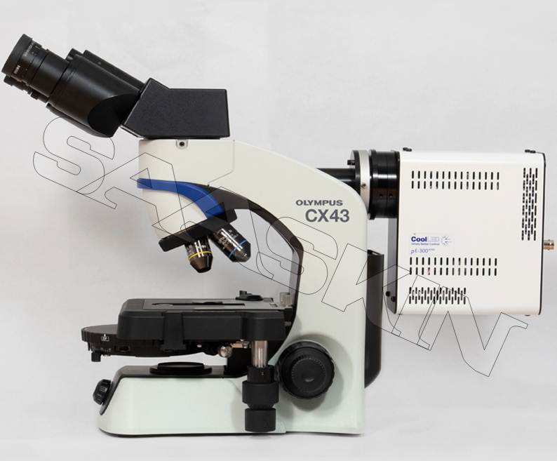 Olympus Cx43 Biological Microscope