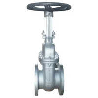 High Performance Leader Gate Valve