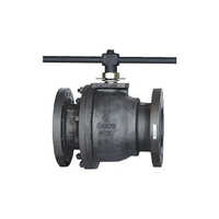 Industrial Two Piece Ball Valve