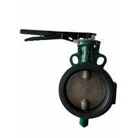 Audco Butterfly Valve - Color: Green & Black