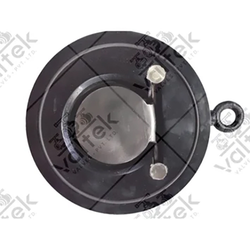 Wafer Type Non Returning Valve - Cast Iron, 1/2 Inch Size, Sleek Black Color | Hydraulic Power, 10 Bar Pressure, Air Media Compatibility