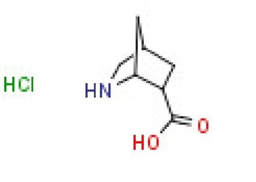 2-Azabicyclo[2.2.1]heptane-6-carboxylic acid hydrochloride