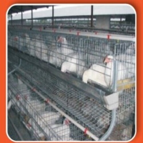 Poultry Breeder Broiler California Cage - Color: Gray