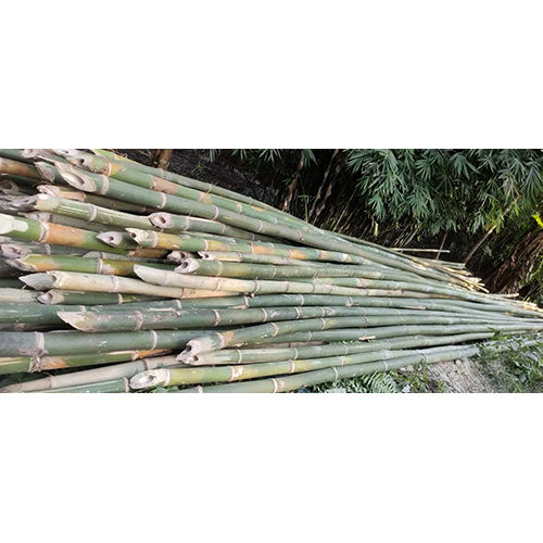 Bamboo Raw Material Stick