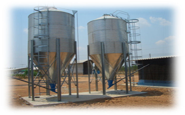 Poultry Layer Battery Cages - Feature: Good Quality