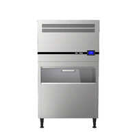 Stainless Steel Ice Maker Machine - Capacity: 30-100 Kg/day