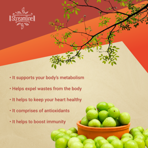 Feel Good Powder - Immune & Metabolism Booster, Antioxidant Rich Drink Mix For Heart Health & Weight Management